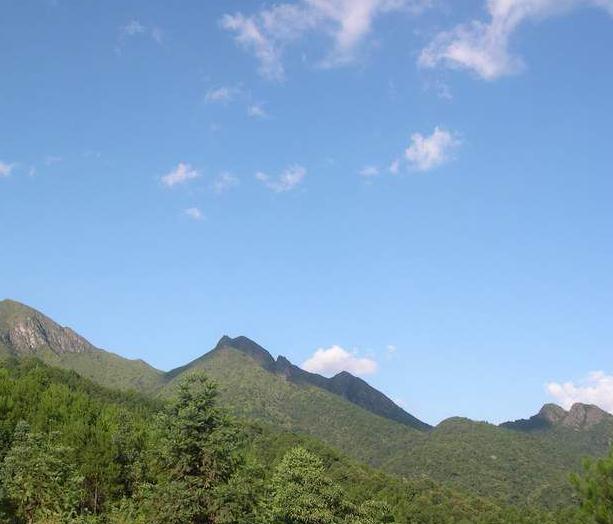 梅花山(福建省龍巖市梅花山)