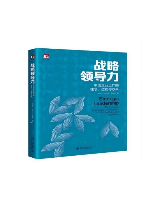 戰略領導力：中國企業運作的理念、過程與效果