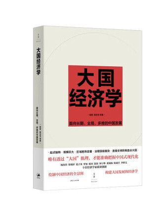 大國經濟學：面向長期、全局、多維的中國發展