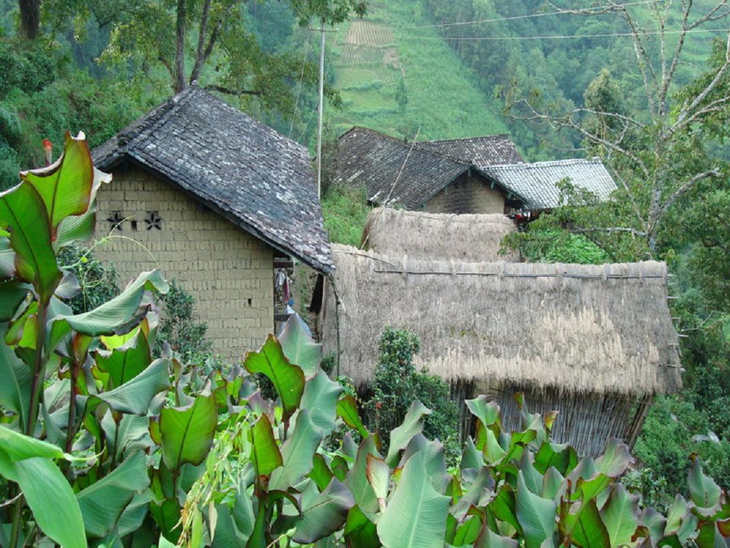 瞿家寨村(雲南省德宏州隴川縣護國鄉瞿家寨村)