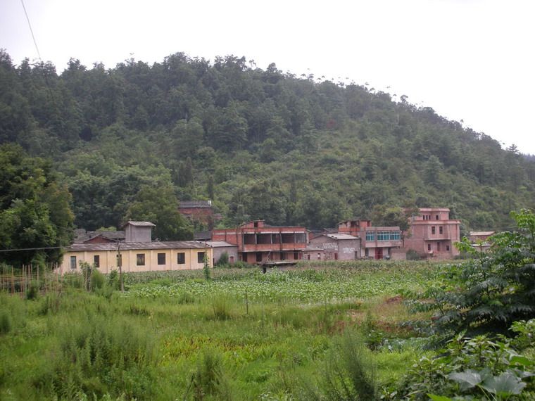 小米沖村(雲南玉溪市四街鎮下轄村)