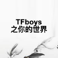 TFboys之你的世界