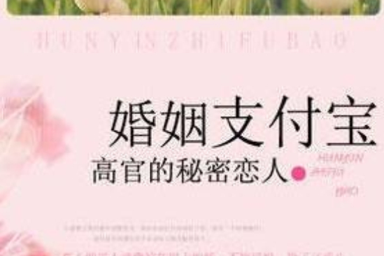 高官的秘密戀人：婚姻支付寶