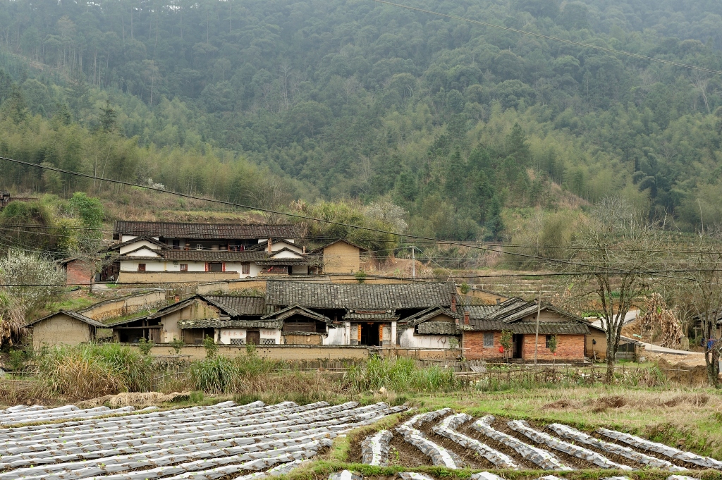 黃塘村(浙江省樂清市淡溪鎮黃塘村)