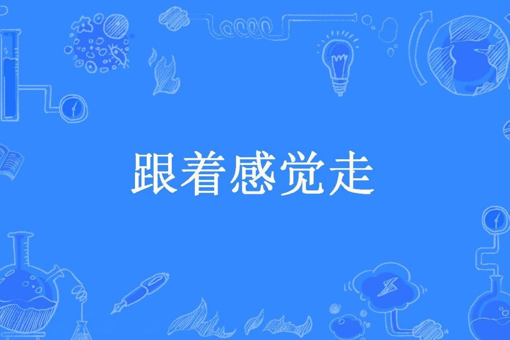 跟著感覺走(寒巍所著小說)