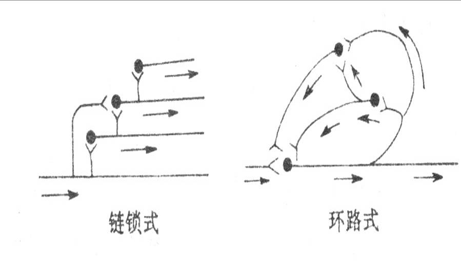 鏈鎖狀與環狀聯繫