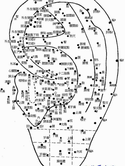 閆聖秀