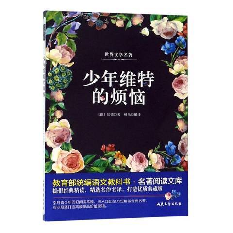 少年維特的煩惱(2019年山東文藝出版社出版的圖書)