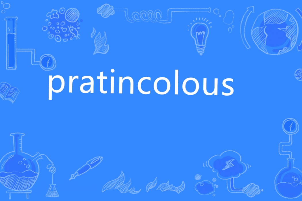 pratincolous