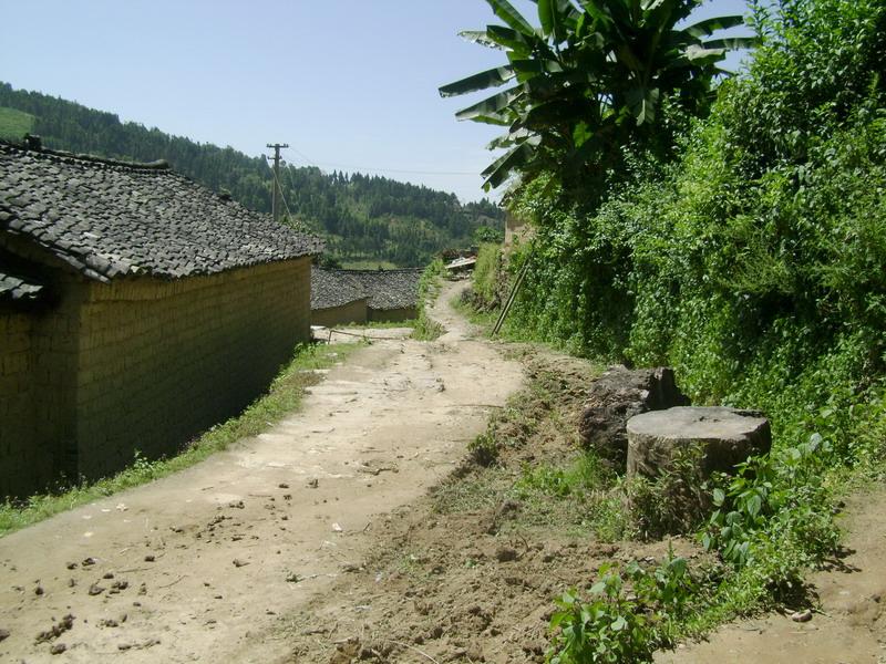 進村道路