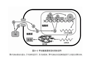 散發性呆小病