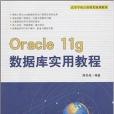 高等學校計算機類規劃教材：Oracle