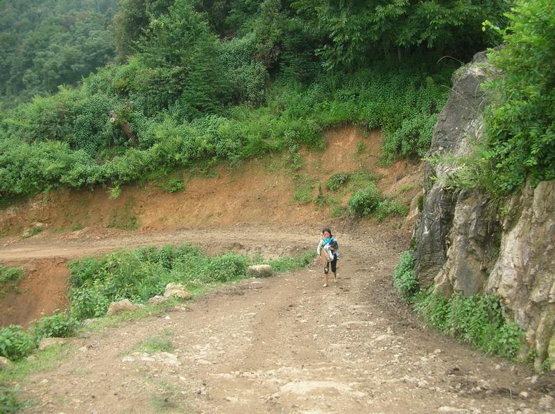 進村道路