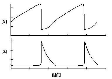 普利高京耗散結構