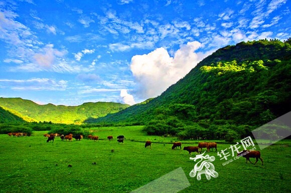 雪玉山國際旅遊度假風景區