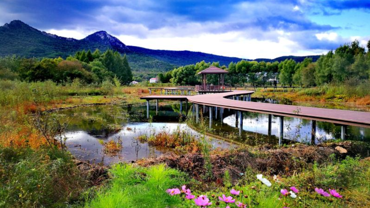 黑龍江鏵子山省級森林公園