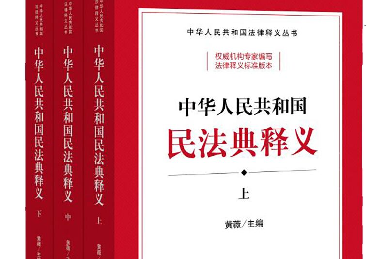 中華人民共和國民法典釋義