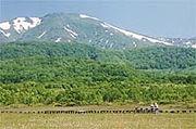 八甲田山