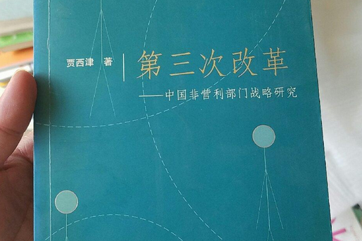 第三次改革——中國非營利部門戰略研究