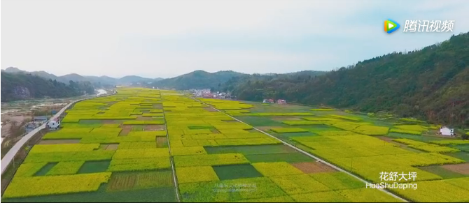 花橋村舒溪坪農田