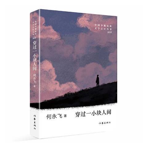 穿過一小塊人間(2020年作家出版社出版的圖書)