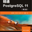 精通PostgreSQL 11（第2版）