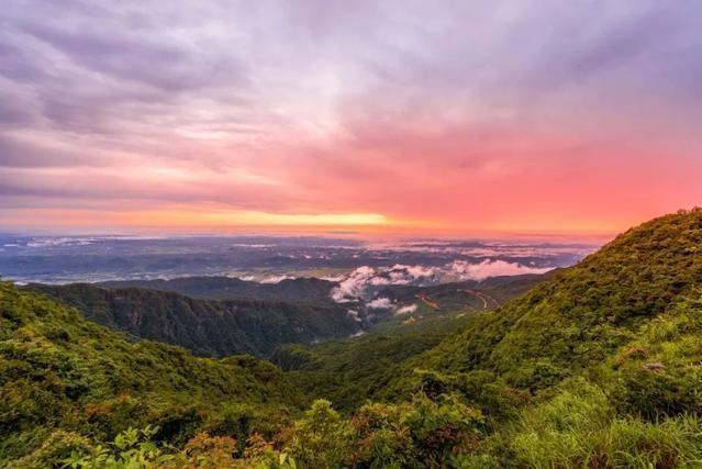 大明山森林康養基地