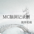 MC腦洞記錄刪