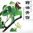 草藥治骨傷/草藥治百病叢書