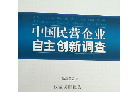 中國民營企業自主創新報告