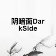 陰暗面DarkSide