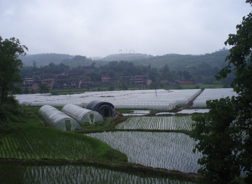 城江村(江西省吉安市永新縣文竹鎮下轄村)