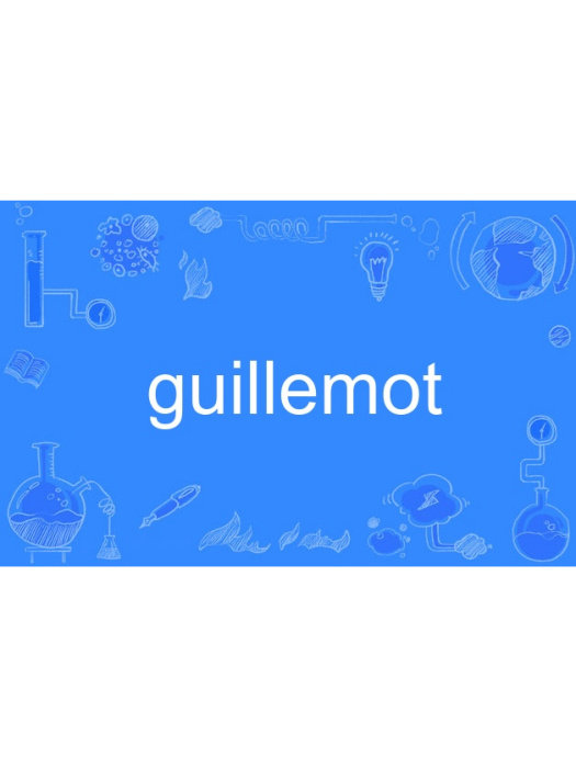 guillemot