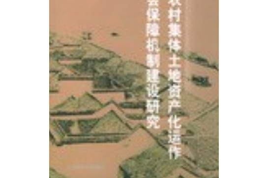 中國農村集體土地資產化運作與社會保障機制建設研究