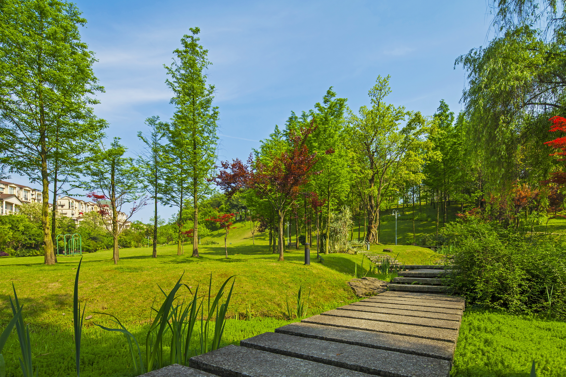 新江與城悠瀾濕地公園