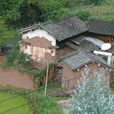 小古山村(雲南省楚雄南華縣沙橋鎮小古山村)