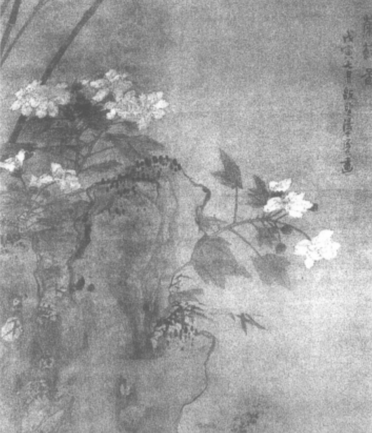 竹石芙蓉圖