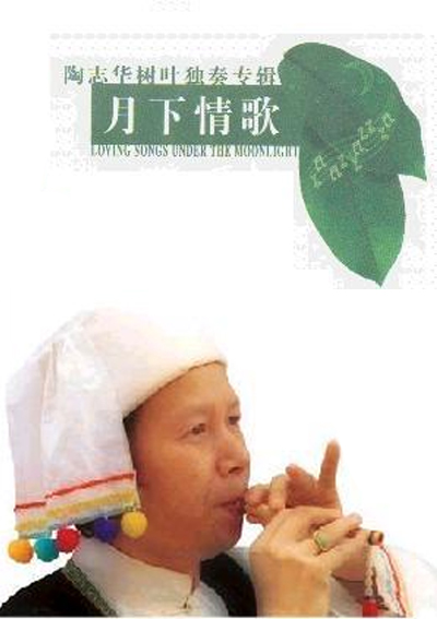 陶志華(雲南民族打擊樂演奏家)