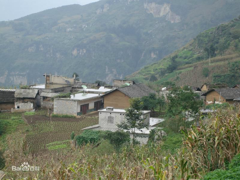 灣子自然村(林口彝族苗族鄉木黑村委會下轄自然村)