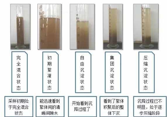 沉降比