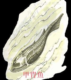 史前動物：甲冑魚