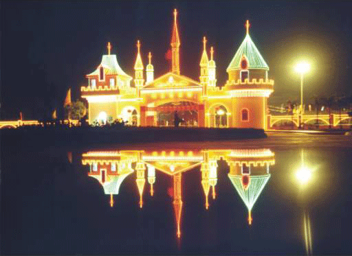 七星崗公園夜景