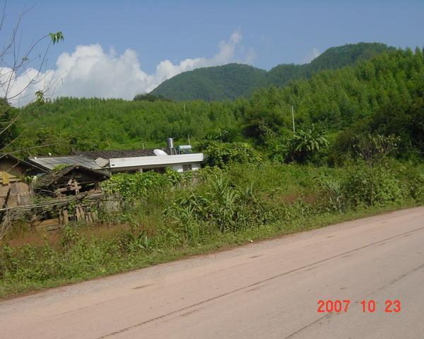 芒檬樹村