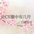 論CV圈中有幾許