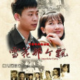 雪花那個飄(2011年張譯、潘雨辰主演的電視劇)