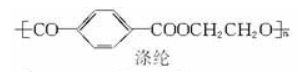 滌綸