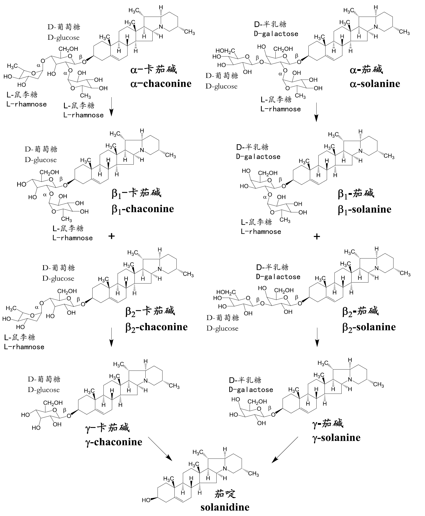 馬鈴薯糖苷生物鹼