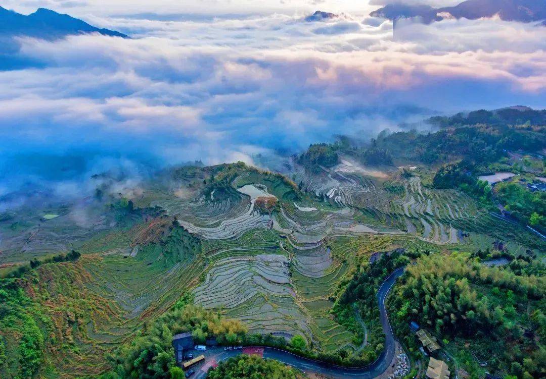 雲和梯田景區