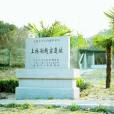 上林湖越窯國家考古遺址公園