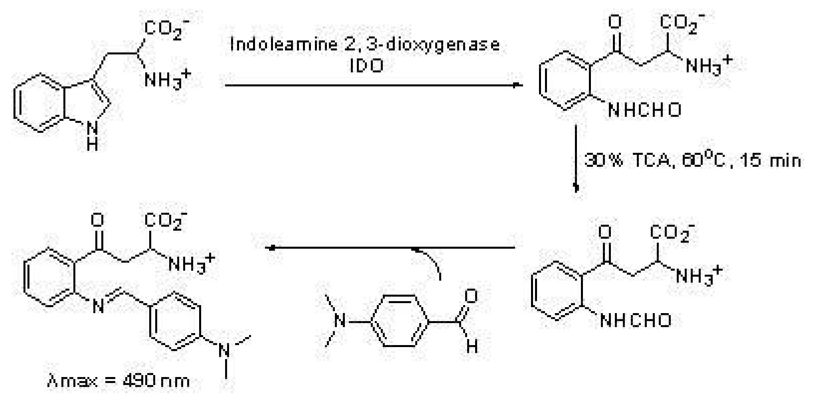 一種N-苄基色胺酮衍生物及其製備方法和套用